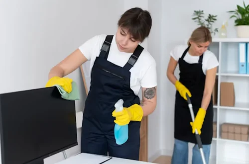 Professional Cleaning Services