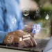 Paid Social Ads