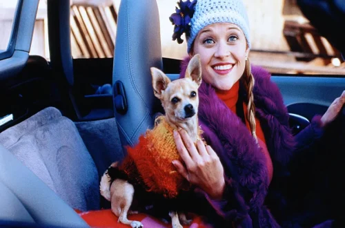Best Feel Good Movies